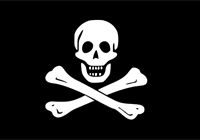 This this the flag most people think of when they think of pirates. It was flown by Edward Endland.